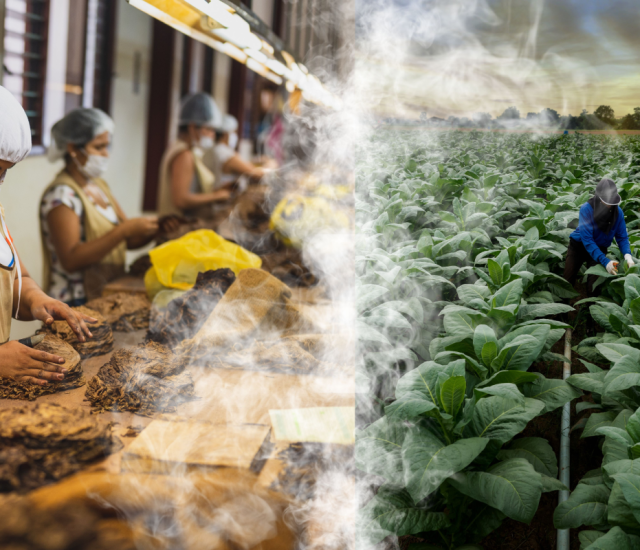 Bisnis dan HAM: Putus Rantai Mengerikan dalam Industri Rokok