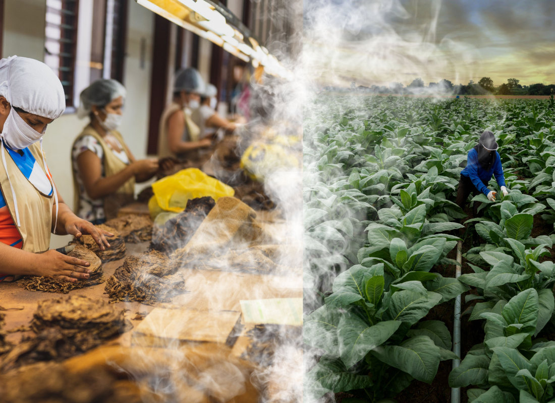 Bisnis dan HAM: Putus Rantai Mengerikan dalam Industri Rokok