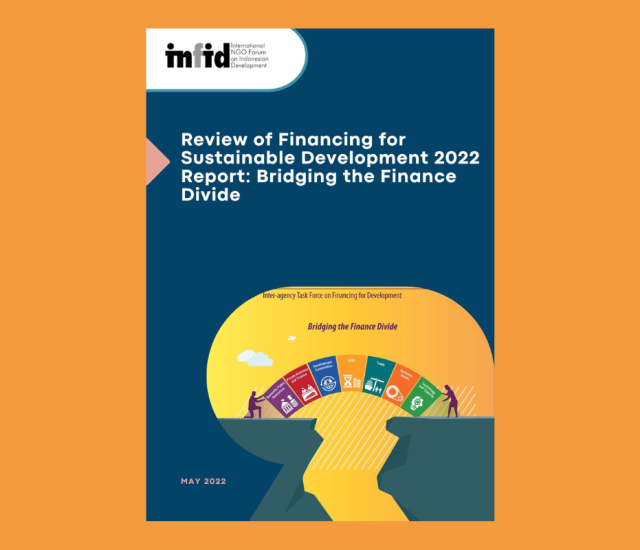 Review of Financing for Sustainable Development 2022 Report: Bridging the Finance Divide